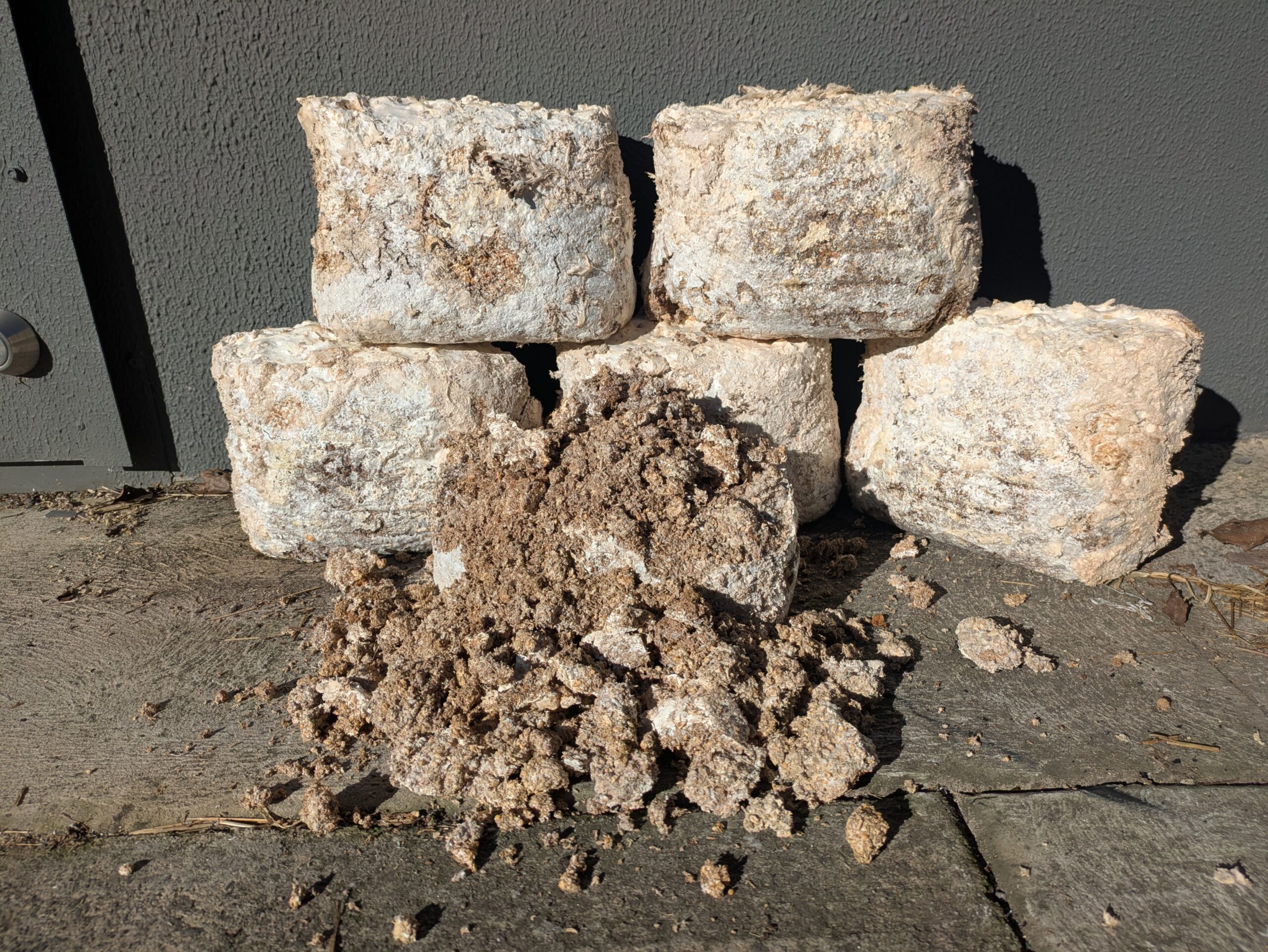 Mushroom Substrate Mulch